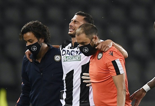 参考依据 参考依据